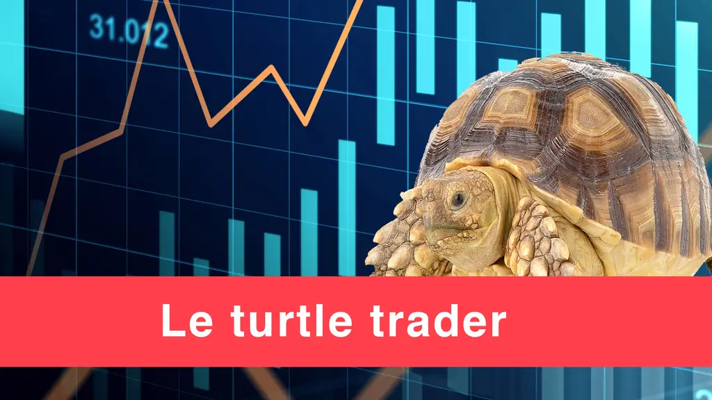 Le turtle trader ou tortue en Français