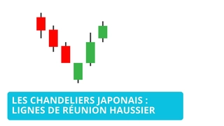 Comprendre la figure des lignes de réunion haussières