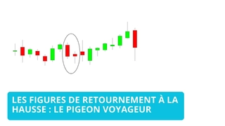 Comprendre la figure du pigeon voyageur ou bullish homing pigeon